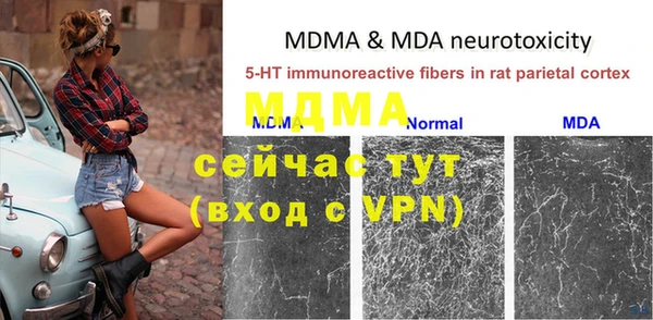 ПСИЛОЦИБИНОВЫЕ ГРИБЫ Абаза