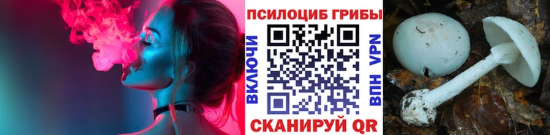 Псилоцибиновые грибы Magic Shrooms  купить наркоту  mega ссылка  Остров 